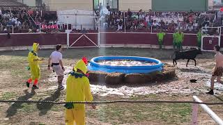 Entrena, La Rioja, Fiestas de San Cristóbal