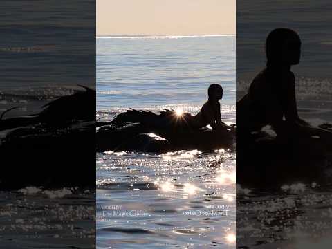 Mermaid dives off the rocks