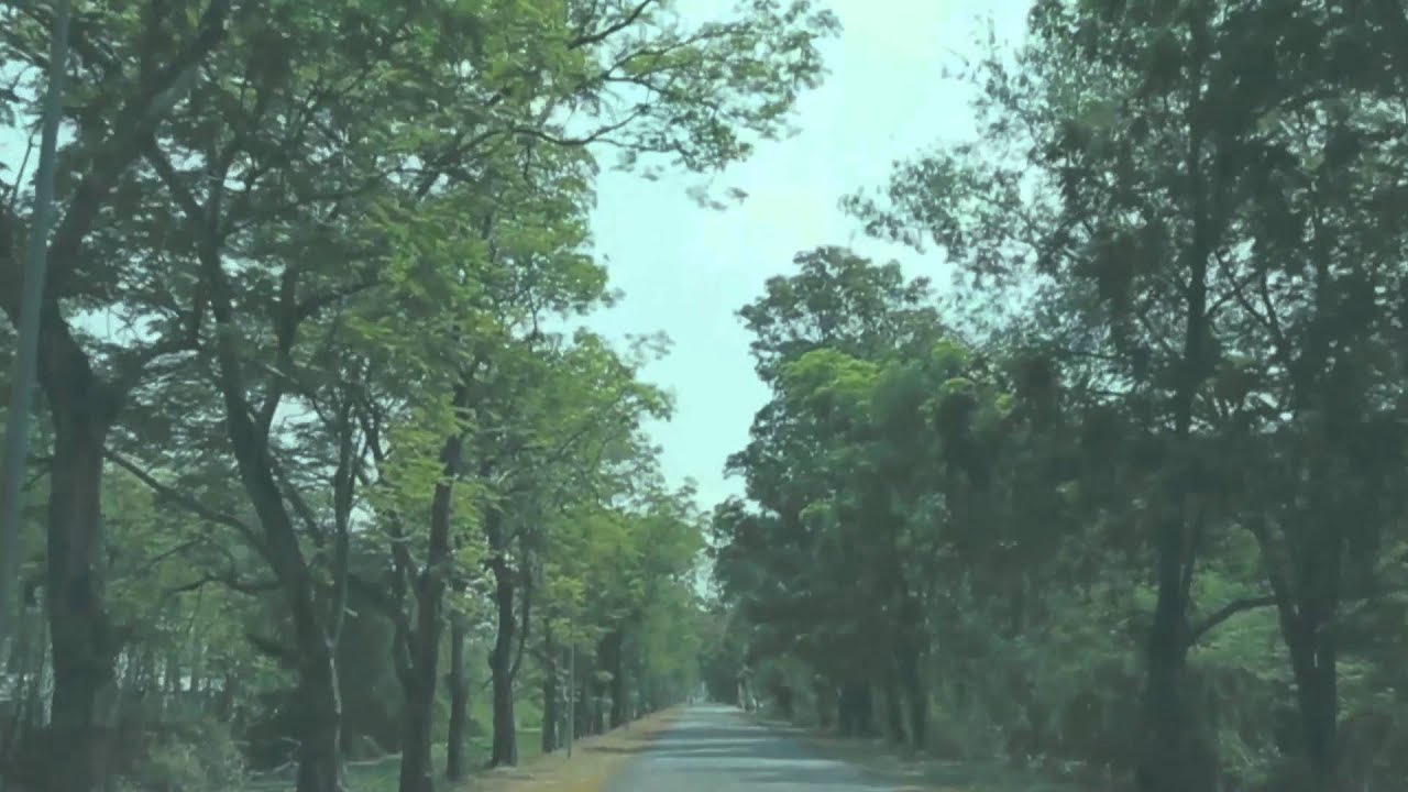 ภูมิต้านทาน[Teaser] - Better Weather