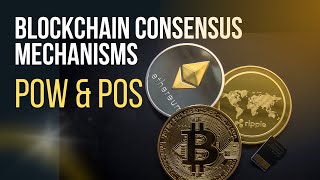 Blockchain Consensus Mechanisms: PoW and PoS Profile
