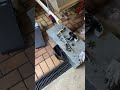 No Uploads for a while (Motor Repair on 6hp mercury)