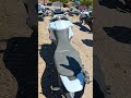DUCATI DESERTX V2 - ALTEZZE SELLA E PULIZIA FILTRO ARIA