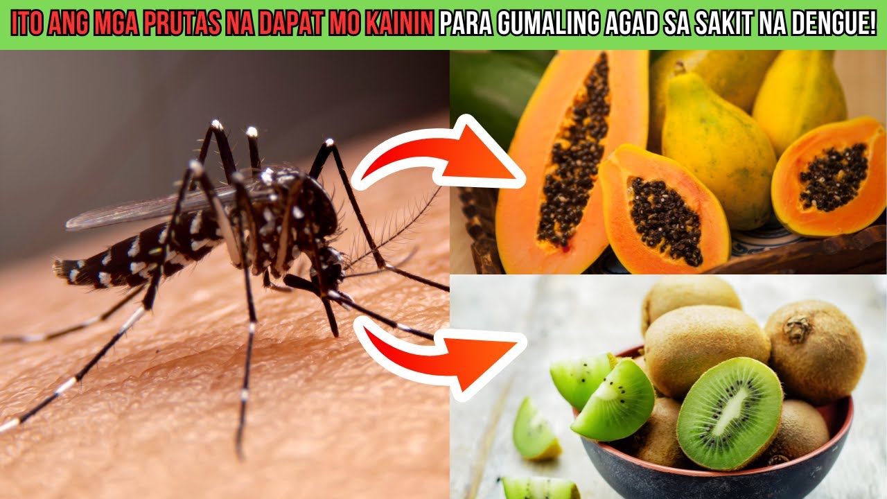TOP 5 PRUTAS na GAMOT at LUNAS para sa sakit na DENGUE!