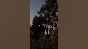 القارئ إسلام صبحي سورة الحجر   الآية #قرآن