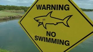 Shark Infested Golf Course