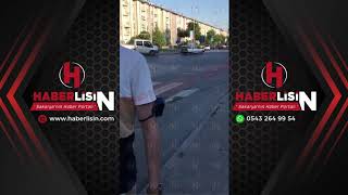 Başiboş Sokak Hayvanlari Biktirdi