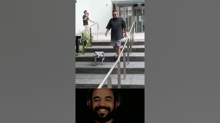 Meu novo cachorro de 40 MIL REAIS! 🤯 E ELE É UM ROBÔ! 🤖😂