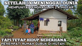 Download Lagu Setelah 3x Meninggal Memliki Penghasilan Ratusan Juta Dari Pohon Cengkeh Tinggal Di Tengah Hutan MP3