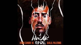 Fi Hwak (Randall Remix)Didine Canon 16 - Djalil Palermo Resimi