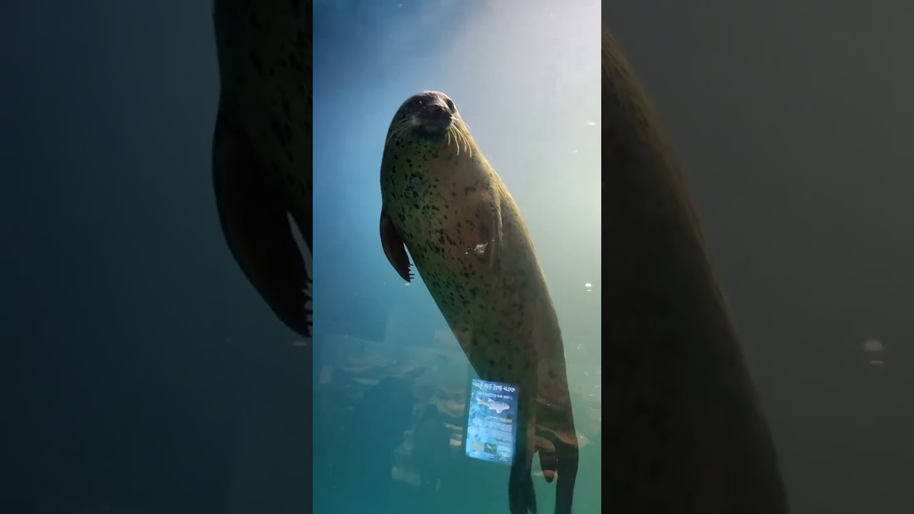 Всем приветики от нас 😊 