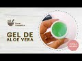 Elaboración de GEL PURO DE ALOE VERA 🌵 COSMÉTICA NATURAL