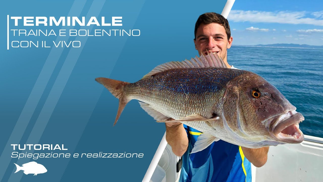 Terminale per la pesca a traina e bolentino con il vivo spiegazione e realizzazione TUTORIAL