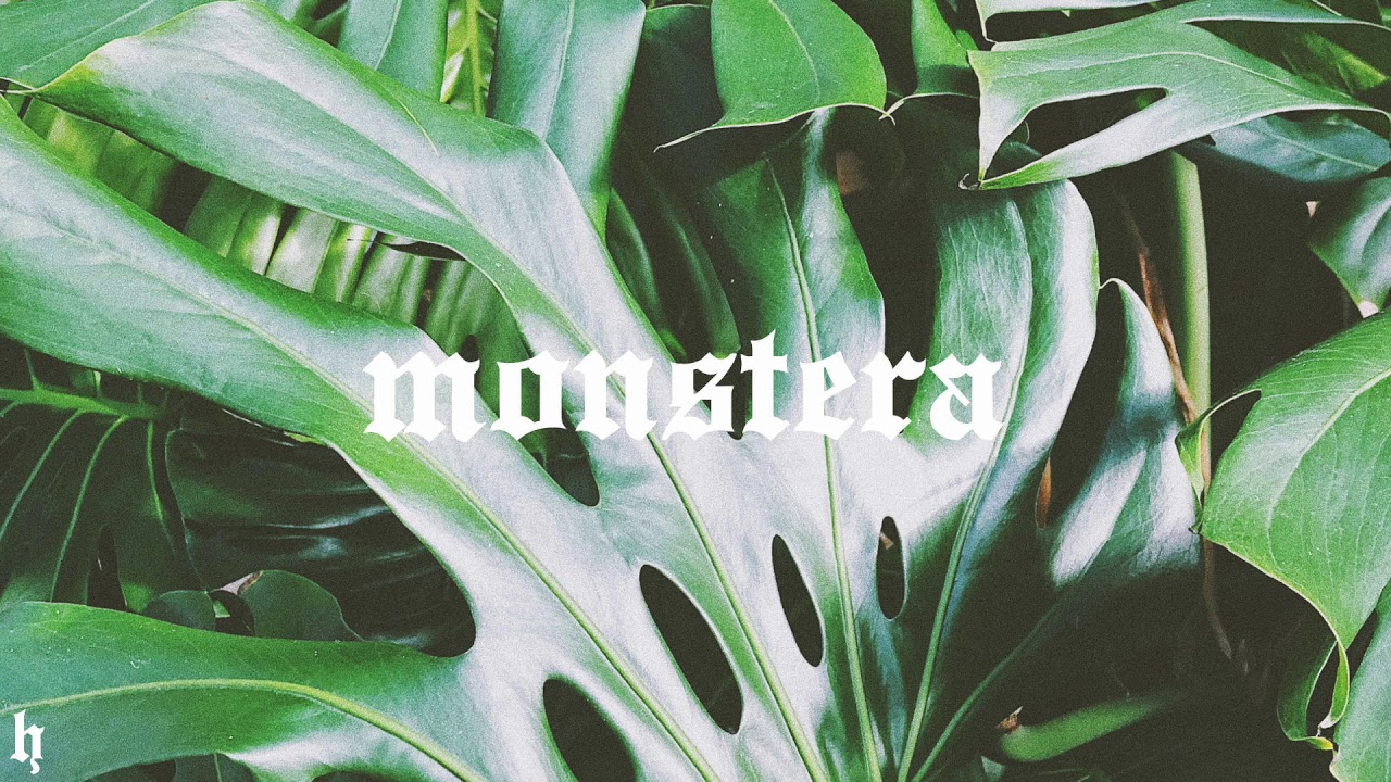 [FREE] J Cole x JID x Bas Type Beat / "Monstera" (Prod. Homage)