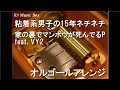 粘着系男子の15年ネチネチ/家の裏でマンボウが死んでるP feat. VY2【オルゴール】