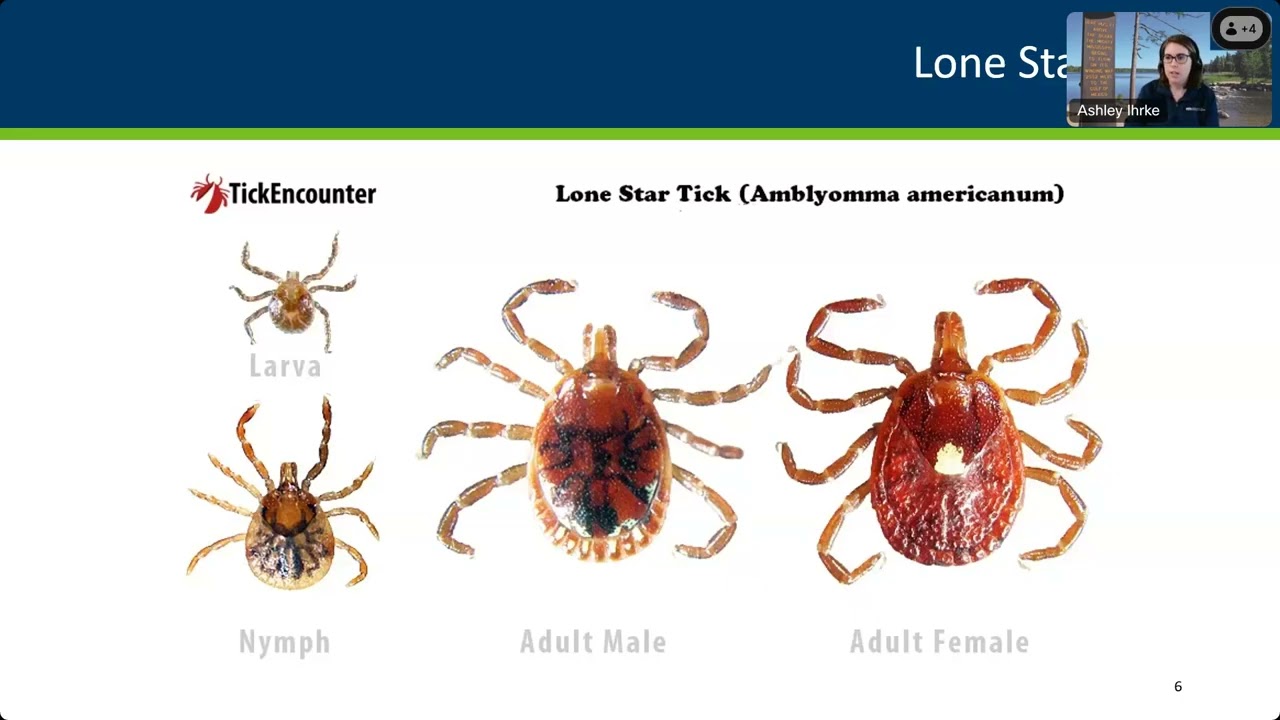 203 Tick talk identification and prevention 20250312
