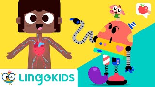 子供向けの顔と体のパーツ 👁️👄👁️ 語彙、歌、ゲーム |リンゴキッド screenshot 1
