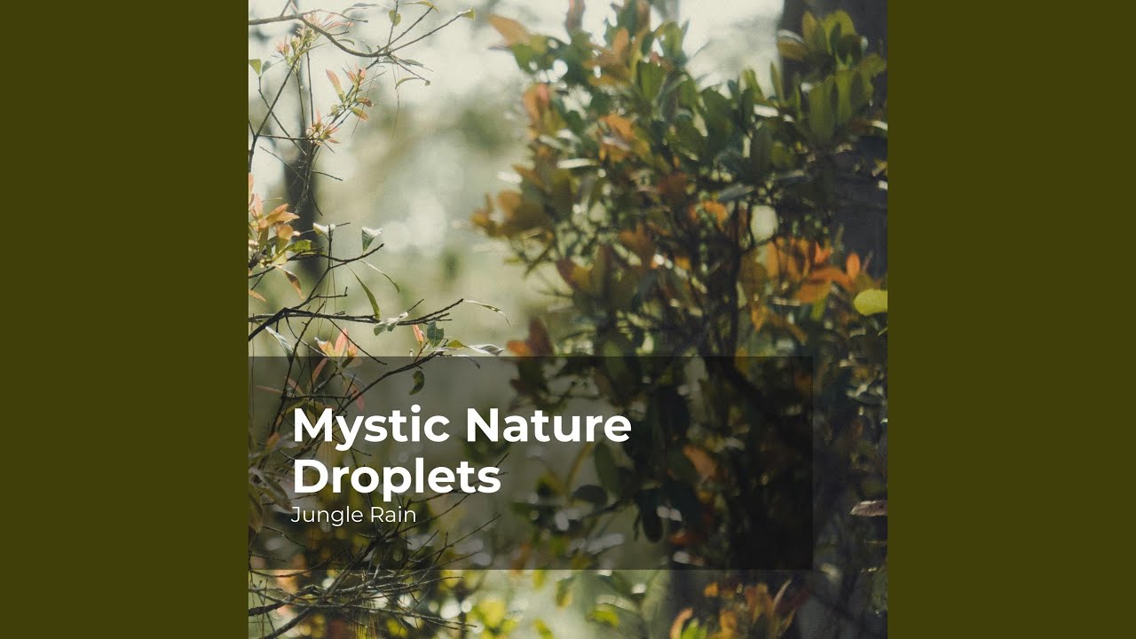 Nighttime in the Woods