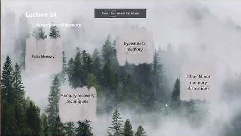 PSY213 Lecture 14 : Part 4