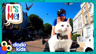 Princess Cat Loves Biking But CAN’T STAND One Thing... | Dodo Kids | It's Me