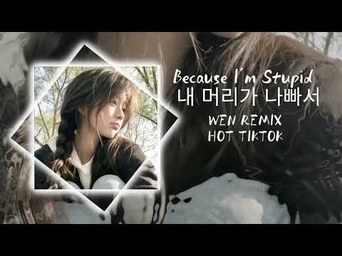 Because I'm Stupid  내 머리가 나빠서 | Nhạc Hàn hot tiktok ( Wen remix) 