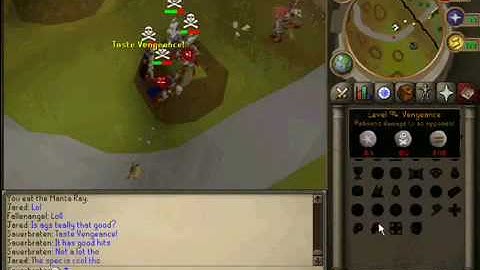 RuneScape Private Server Includes WebClient Play Today!