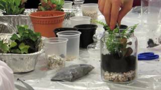 Terrarium Workshop - The Green Capsule