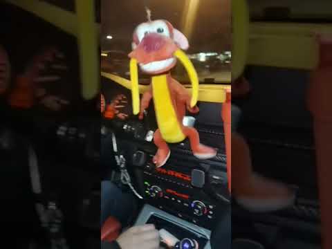 Driving a tuned manual bmw & revving at the homies 😂