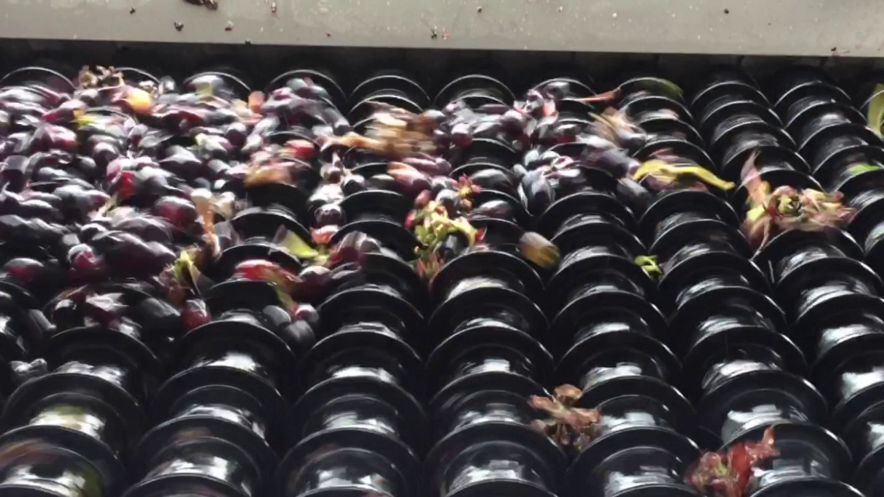 Criveller Roller Sorter