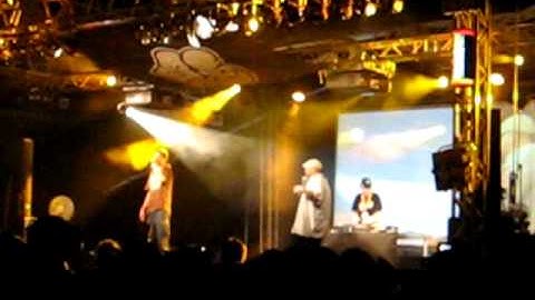 Ugly Duckling @ Pohoda festival 2007