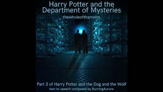 Harry Potter and the Department of Mysteries: Part 2 by thewholeofthemoon | Harry Potter and the ...