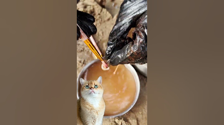 Found a Safe in the Sea 🌊🔒 | Wow! What I got Will Amaze You! 😲 🕵️‍♀️ #cats #beach #treasurehunting