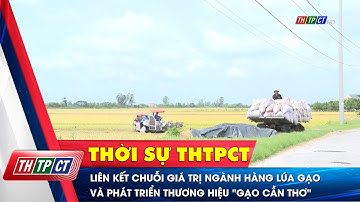Liên kết chuỗi giá trị ngành hàng lúa gạo và phát triển thương hiệu "Gạo Cần Thơ" | Cần Thơ TV