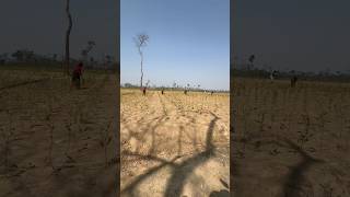 Sylhet Sreemongol Tea Garden Place