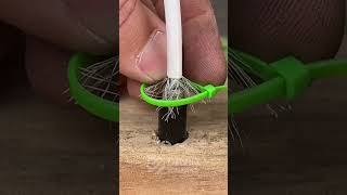 The TV antenna connection trick nobody explains #SignalBoost #HomeTech #smartfix