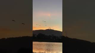 A Heart Without Dreams Is Like A Bird Without Feathers...