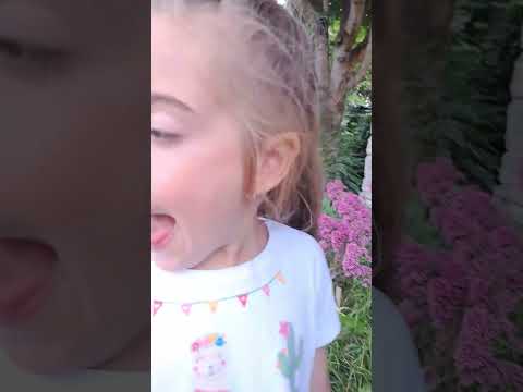 Sniffing Flowers 💐 😍 great fun