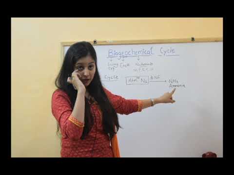 Biogeochemical cycle part 1 - YouTube