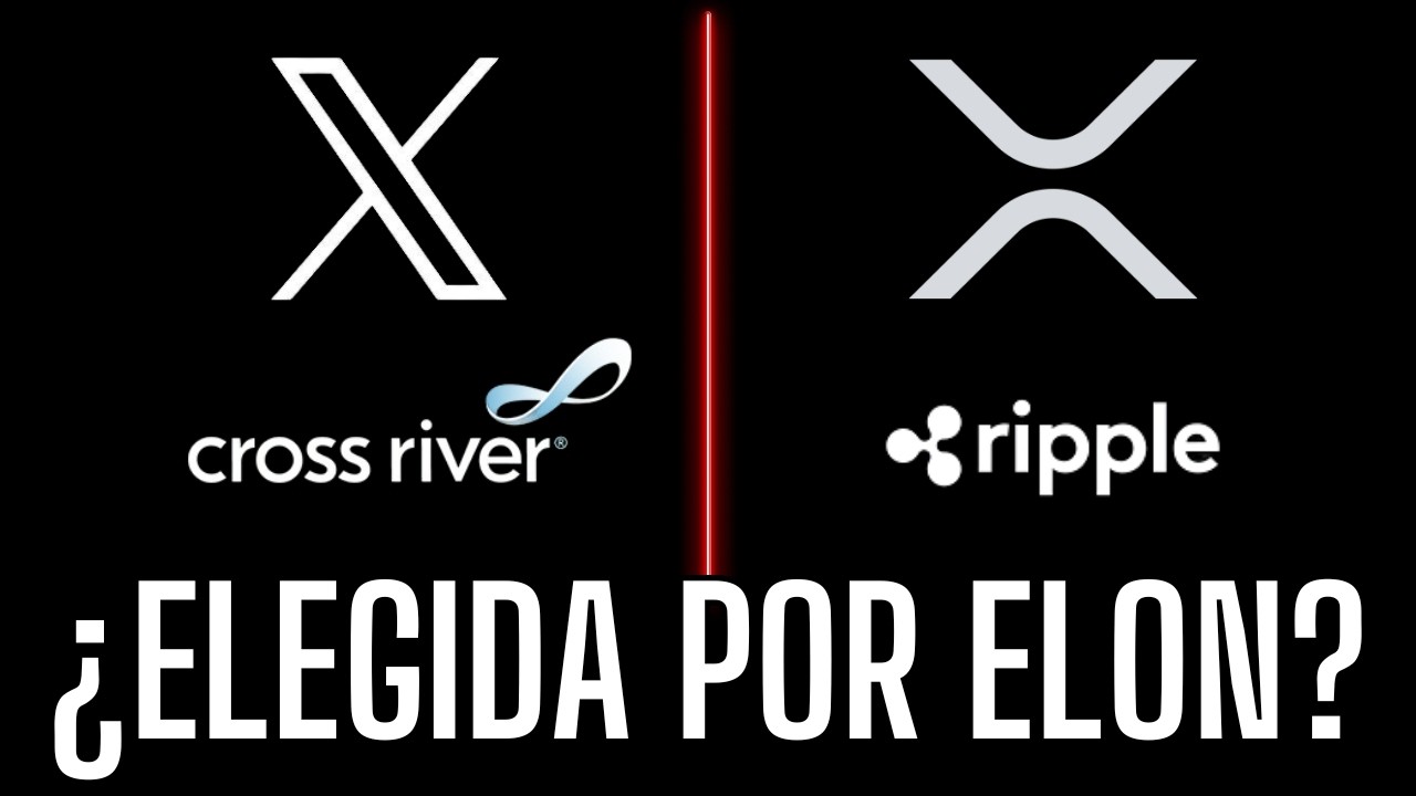 🚨 ELON & XRP🔥La conexión que cambiará TODO🚀 Bancos en peligro💰