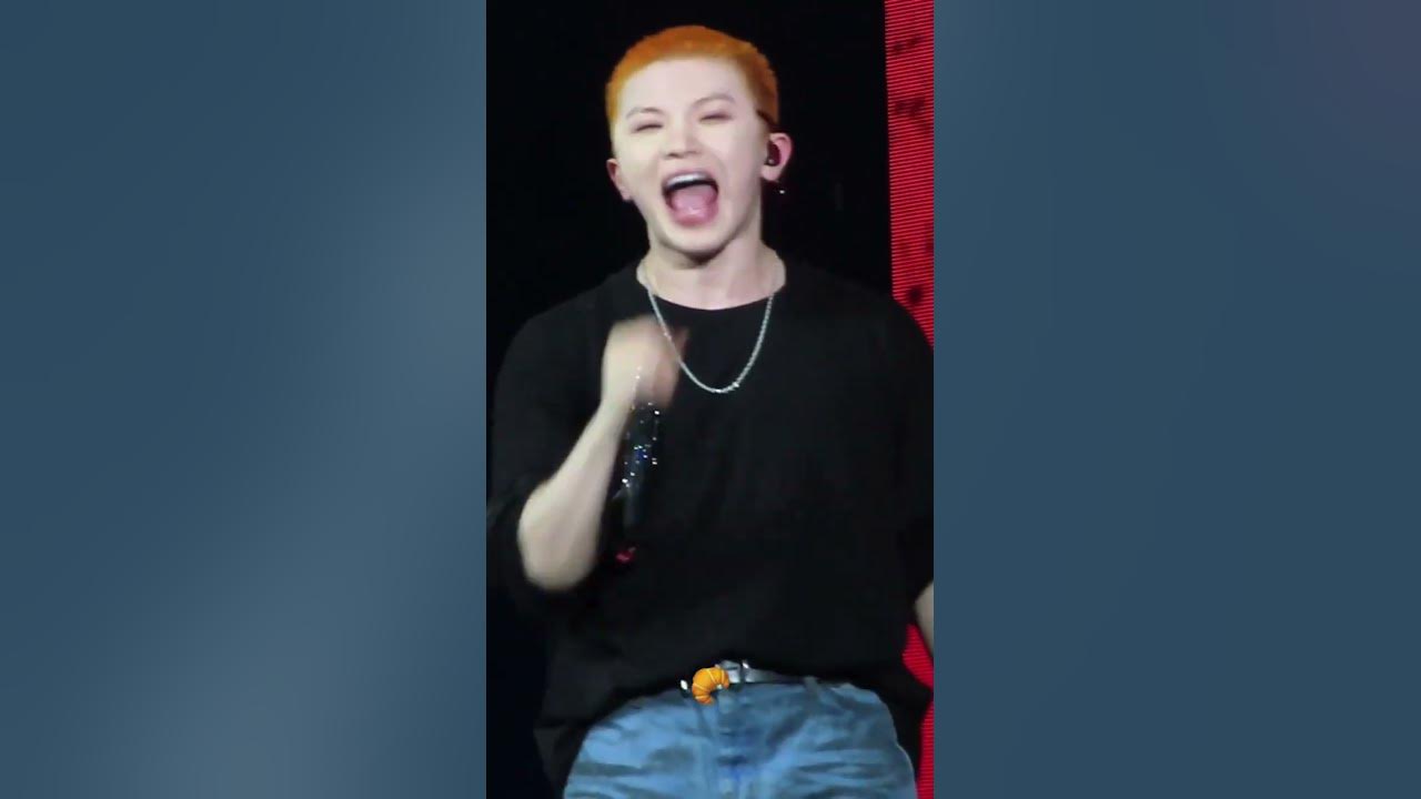 #hoshi x #woozi Fan Concert (WARNING) in Japan D1#seventeen #shortvideo