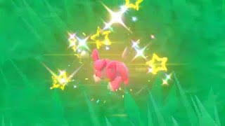 SHINY PAMO! - Pokémon Karmesin und Purpur