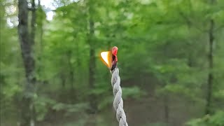 Magical Crystal Forest Tree House ASMR Energy Healing 