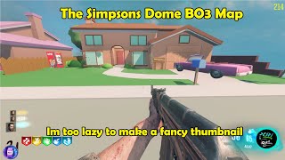 The Simpsons Dome BO3 Map With The Boys