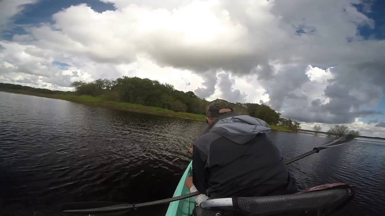 Fly Fishing Myakka River State Park