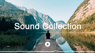 Greenpoint Reel (feat. Kittel & Co.) by Jayme Stone - Facebook Sound Collection