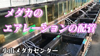 メダカのエアレーションの配管(2022年)