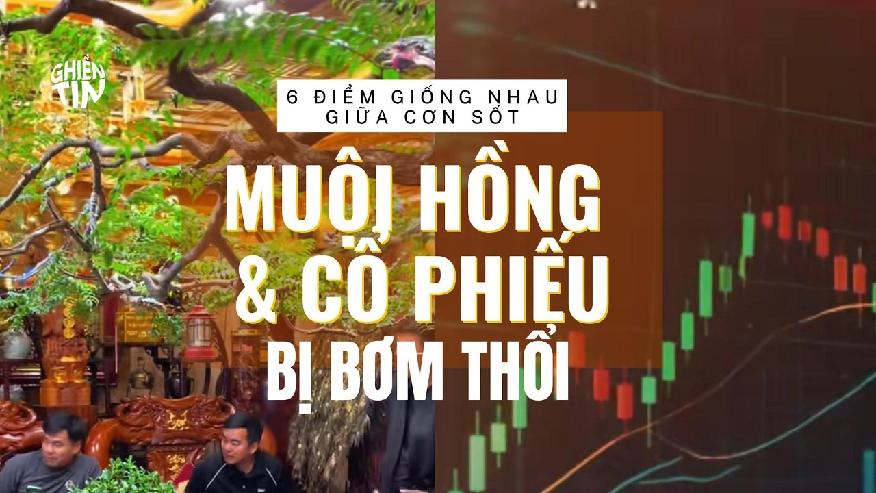 6 Ä‘iá»ƒm giá»‘ng nhau giá»¯a â€œmuá»™i há»“ngâ€ vÃ  cá»• phiáº¿u bá»‹ bÆ¡m thá»•i: Khi lÃ²ng tham Ä‘Æ°á»£c Ä‘Ã³ng gÃ³i thÃ nh cÆ¡ há»™i