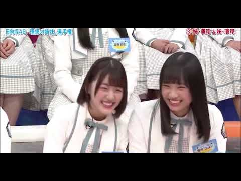 かわいいみーぱんとひよたん
