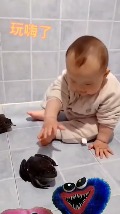 Sensasi Kocak! Bayi Berani Tangkap Kodok! 😂 #Shorts #CuteBaby #BayiLucu #viral