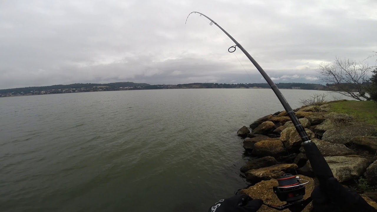 Un beau sandre pour le 01/01/2021, Grosse touche !!!!