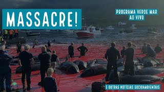 Massacre de baleias nas Ilhas Faroe, Jubartes pelo Rio de Janeiro e mais notícias socioambientais